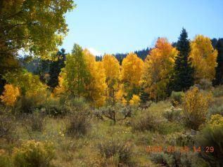 Undeveloped Land for sale in Costilla County, Colorado