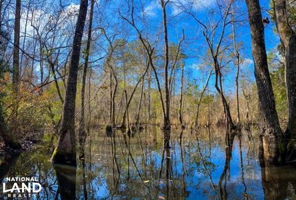 Property in Toombs County, Georgia