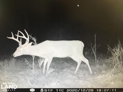 Property in Washington County, Alabama