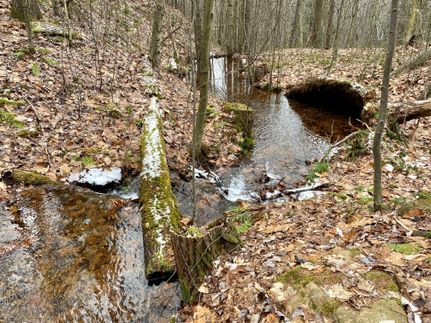 Property in Armstrong County, Pennsylvania