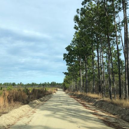 Property in Kershaw County, South Carolina