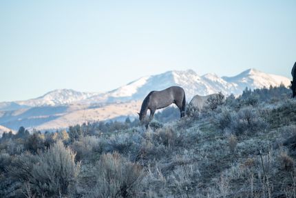 Property in Grant County, Oregon