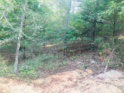 Property in Izard County, Arkansas