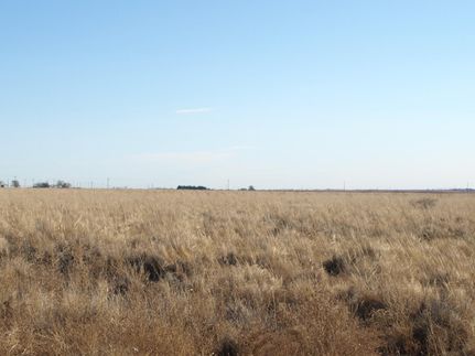 Property in Hockley County, Texas