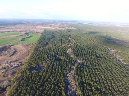 Property in Wilcox County, Georgia