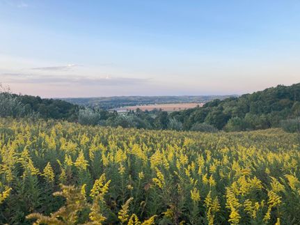 Property in Coshocton County, Ohio