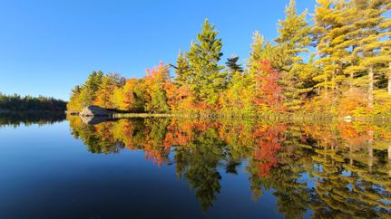 Timberland Property for sale in Saint Lawrence County, New York