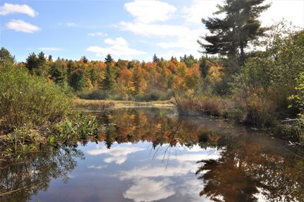 Property for sale in Saint Lawrence County, New York