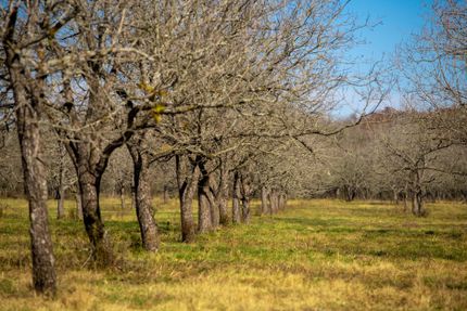 Property in Guadalupe County, Texas