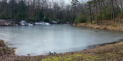 Property in Caroline County, Virginia