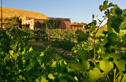 Property in Mesa County, Colorado