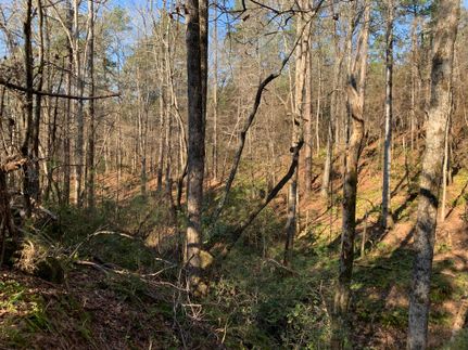 Property in Harris County, Georgia