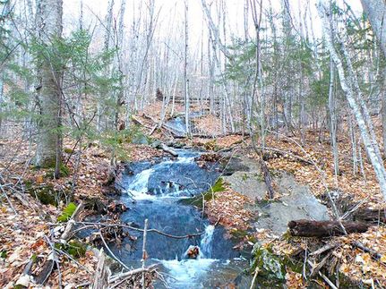 Property in Grafton County, New Hampshire