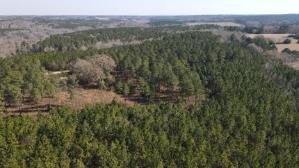 Property in Barbour County, Alabama