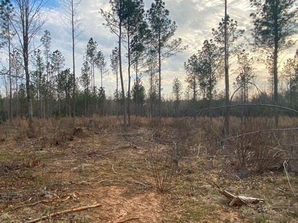 Property in Montgomery County, North Carolina