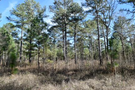 Property in Macon County, Georgia