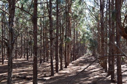 Property in Crisp County, Georgia