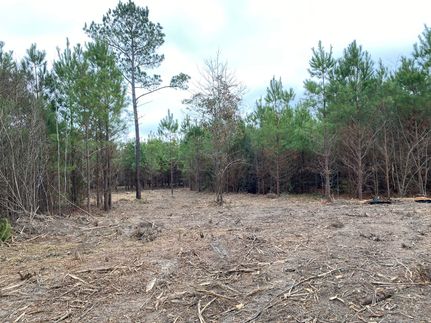 Property in Cass County, Texas