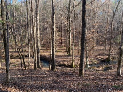 Property in Tallapoosa County, Alabama