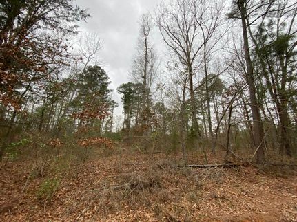 Property in Morris County, Texas