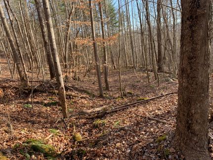 Property in Claiborne County, Tennessee