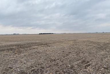 Property in Champaign County, Illinois