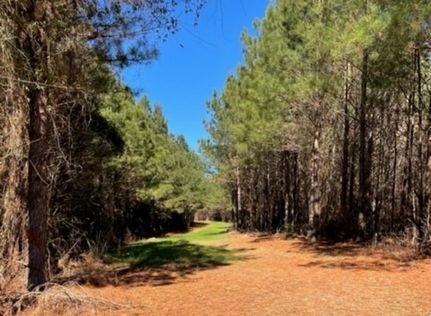 Property in Copiah County, Mississippi