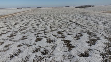 Property in Yellow Medicine County, Minnesota