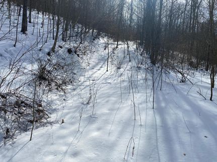 Property in Greene County, Pennsylvania