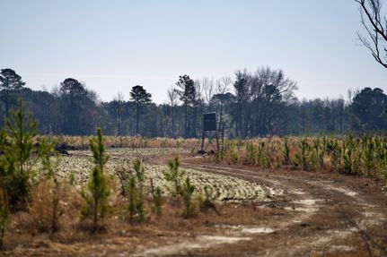 Property in Florence County, South Carolina