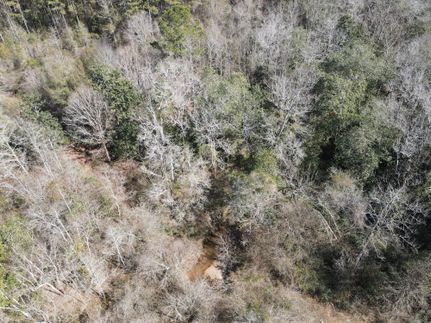 Property in Coffee County, Alabama