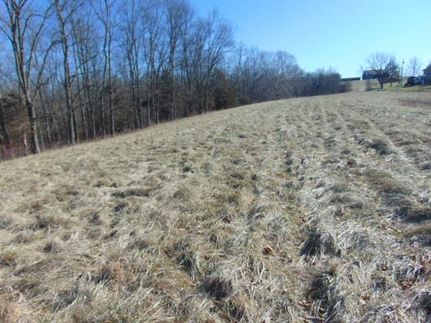 Property in Owen County, Kentucky