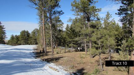 Property in Weston County, Wyoming