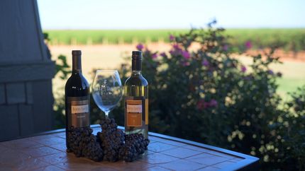 Property in Terry County, Texas