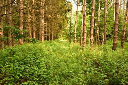 Property in Cayuga County, New York