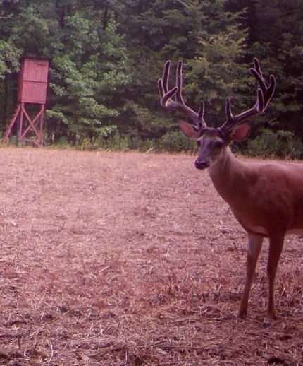 Property in Madison County, Tennessee