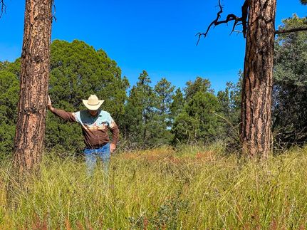 Property in Sierra County, New Mexico