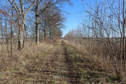 Property in Wayne County, Illinois