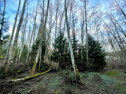 Property in Kitsap County, Washington