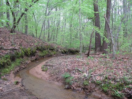 Property in Guilford County, North Carolina