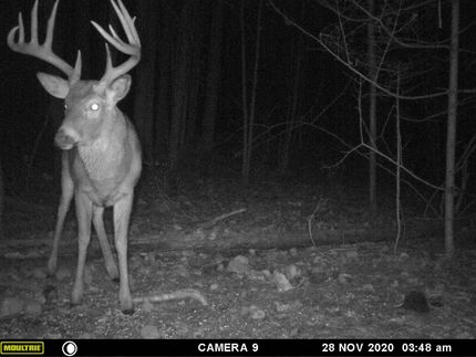 Property in Oconto County, Wisconsin