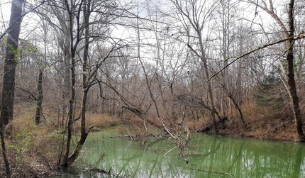 Property in Walker County, Alabama