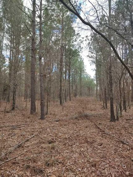 Property in Harrison County, Texas