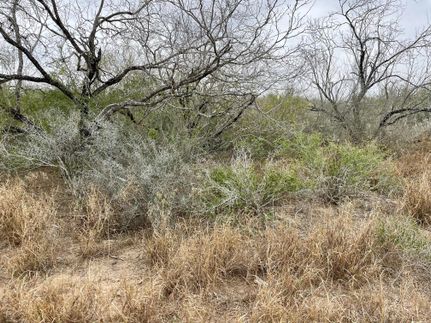 Property for sale in Starr County, Texas