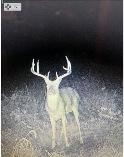 Property in Pettis County, Missouri