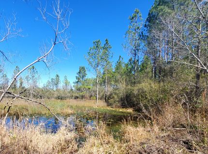 Property for sale in Taylor County, Florida