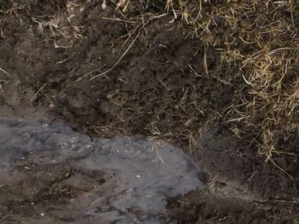 Property in Esmeralda County, Nevada