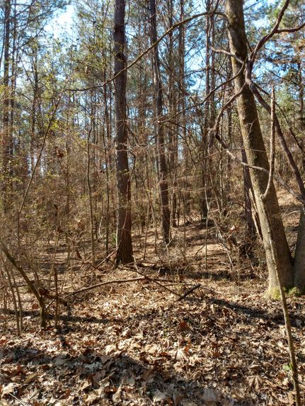 Property in Jefferson County, Mississippi