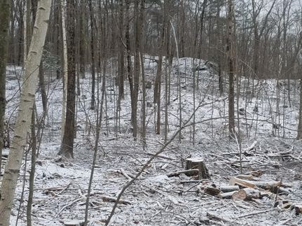 Property in Worcester County, Massachusetts