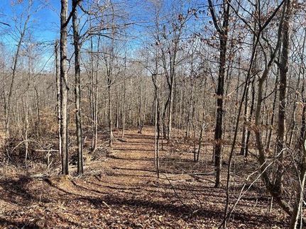 Property in Henderson County, Tennessee